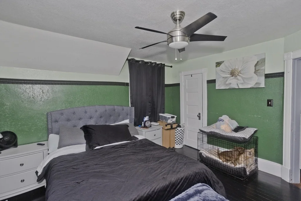 Photo of 41 Embury St