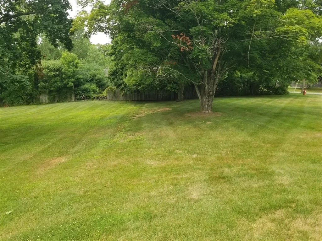 Photo of 320 Palmer Rd