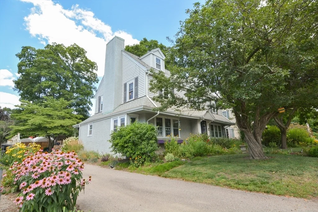 Photo of 36 Nelson Street