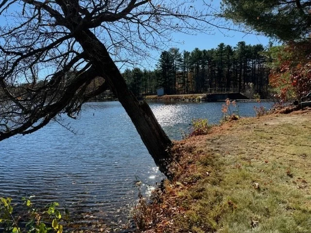 Photo of 130 Paxton Rd