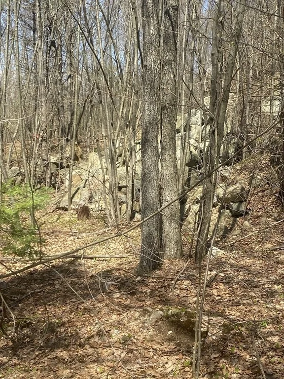 Photo of 117 Munsing Ridge