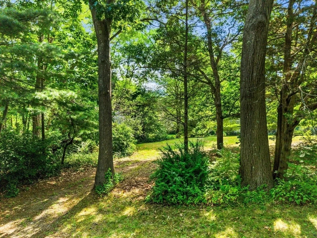 Photo of 193-195 Argilla Road