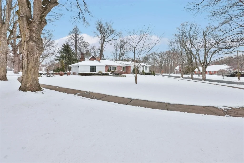 Photo of 24 Cunningham St