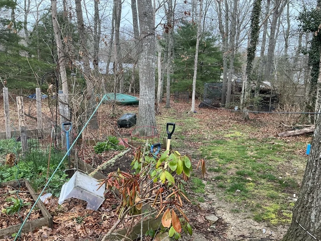 Photo of 4 Blackthorn Path