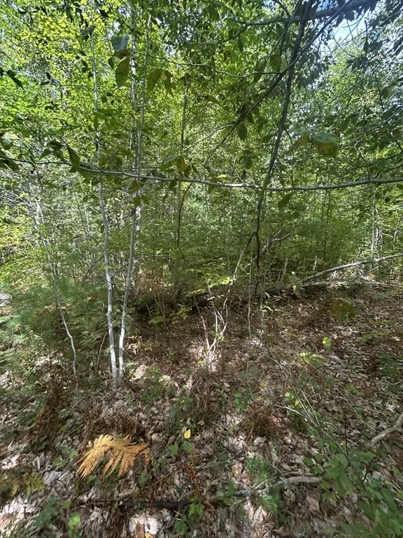 Photo of 531 Mason Rd