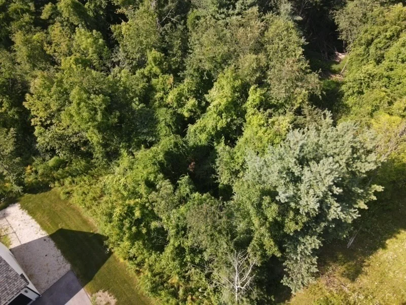 Photo of 4B Mccarthy Rd