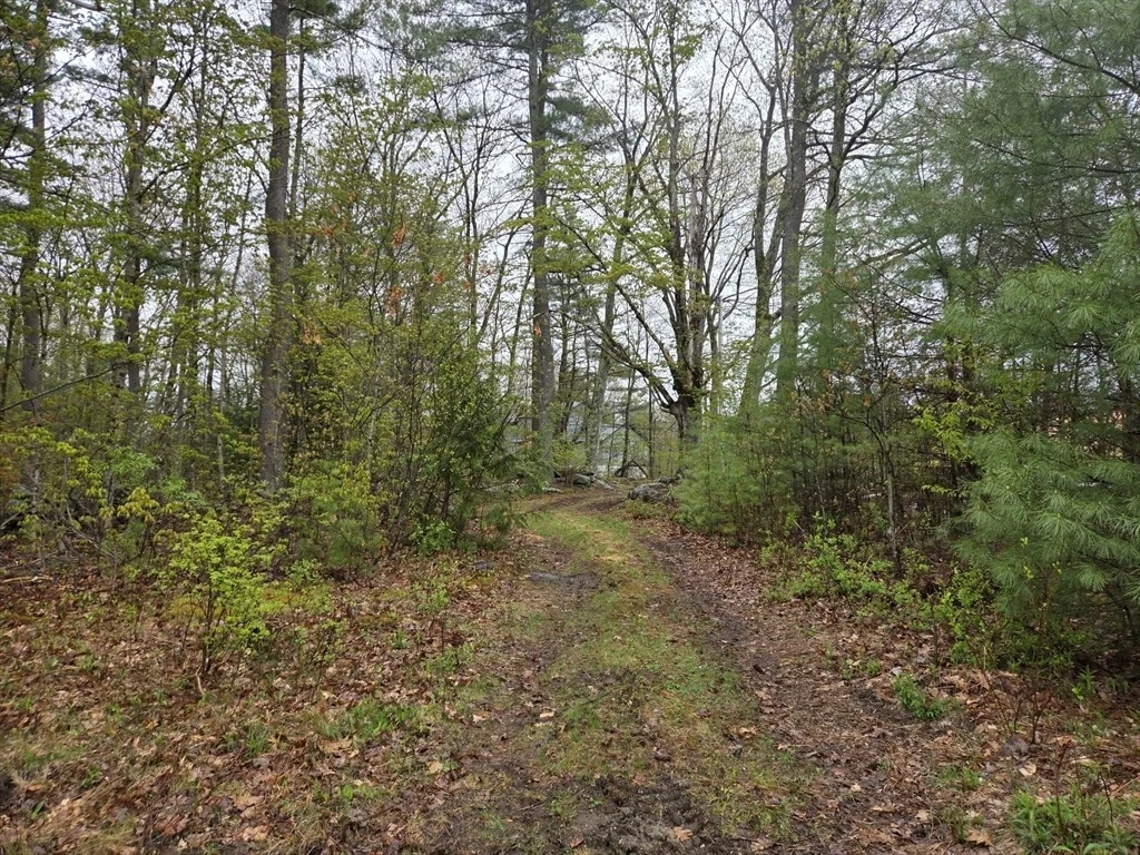 Photo of Lot 3F Petersham Road