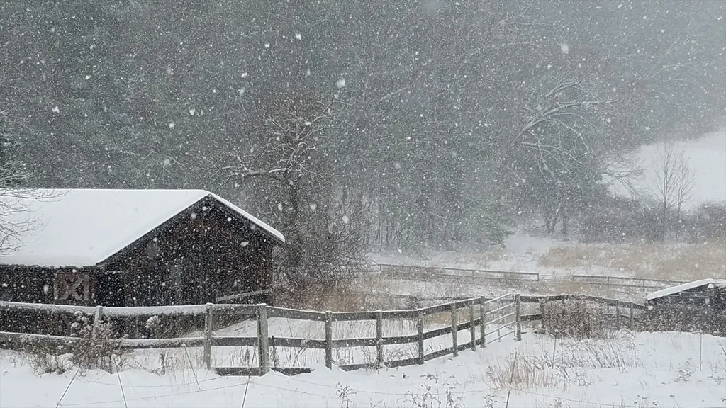 Photo of 504 Lampblack Rd
