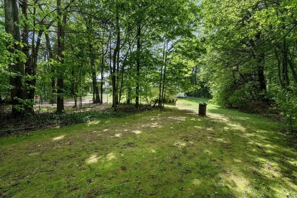Photo of 53 Timberline Road