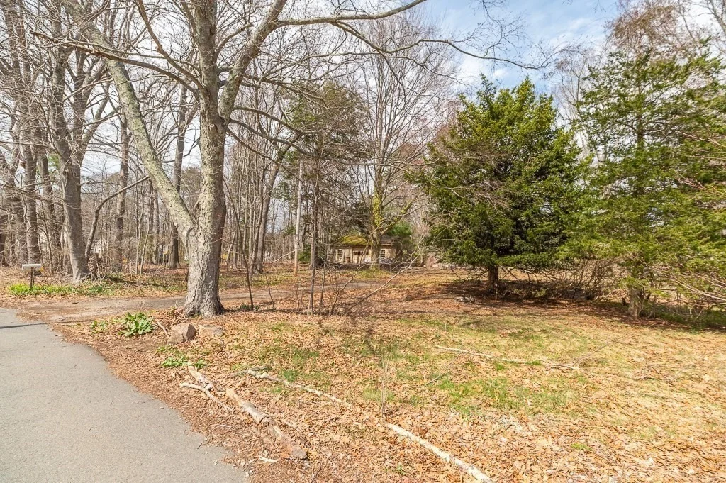 Photo of 21 Beech Street