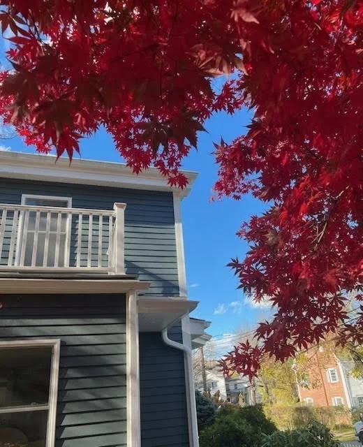 Photo of 9 Glen Rd