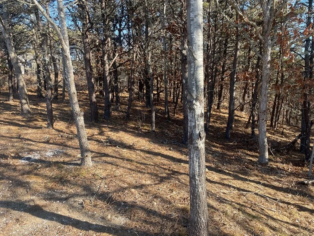 Photo of 2 Resolution Rd