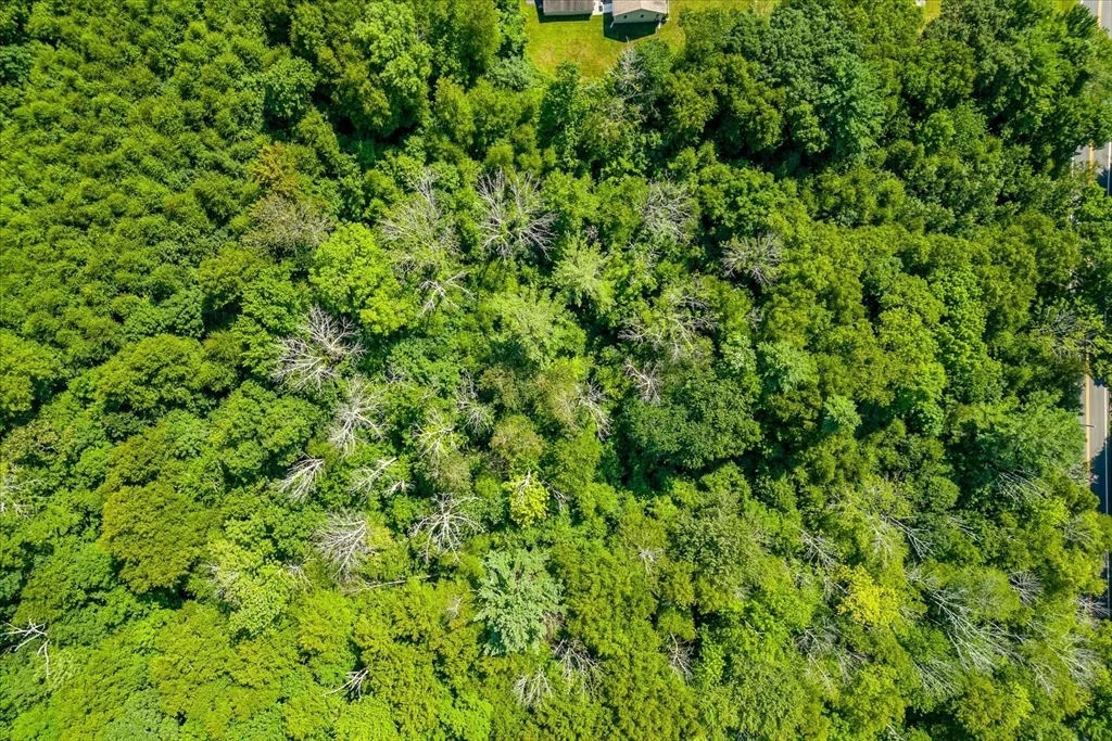 Photo of 2E Petersham Road
