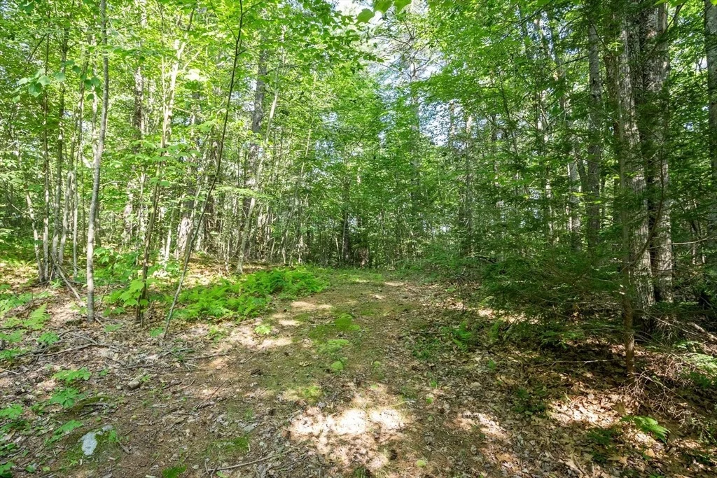 Photo of 0 Ward Hill Rd