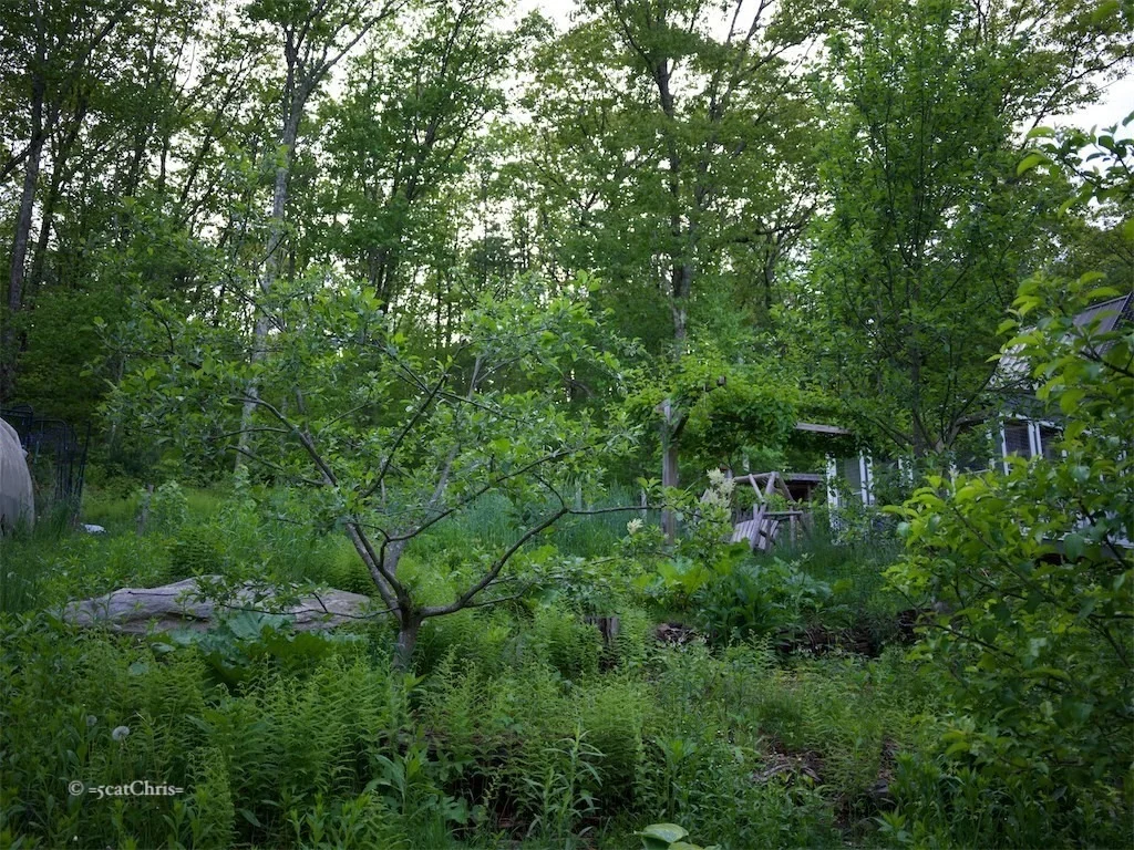 Photo of 999 Sheldon Road