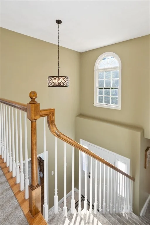 Photo of 12 Thomas Rd