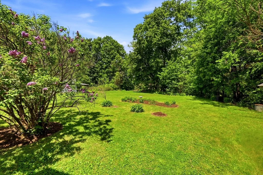 Photo of 97 Shelburne Road
