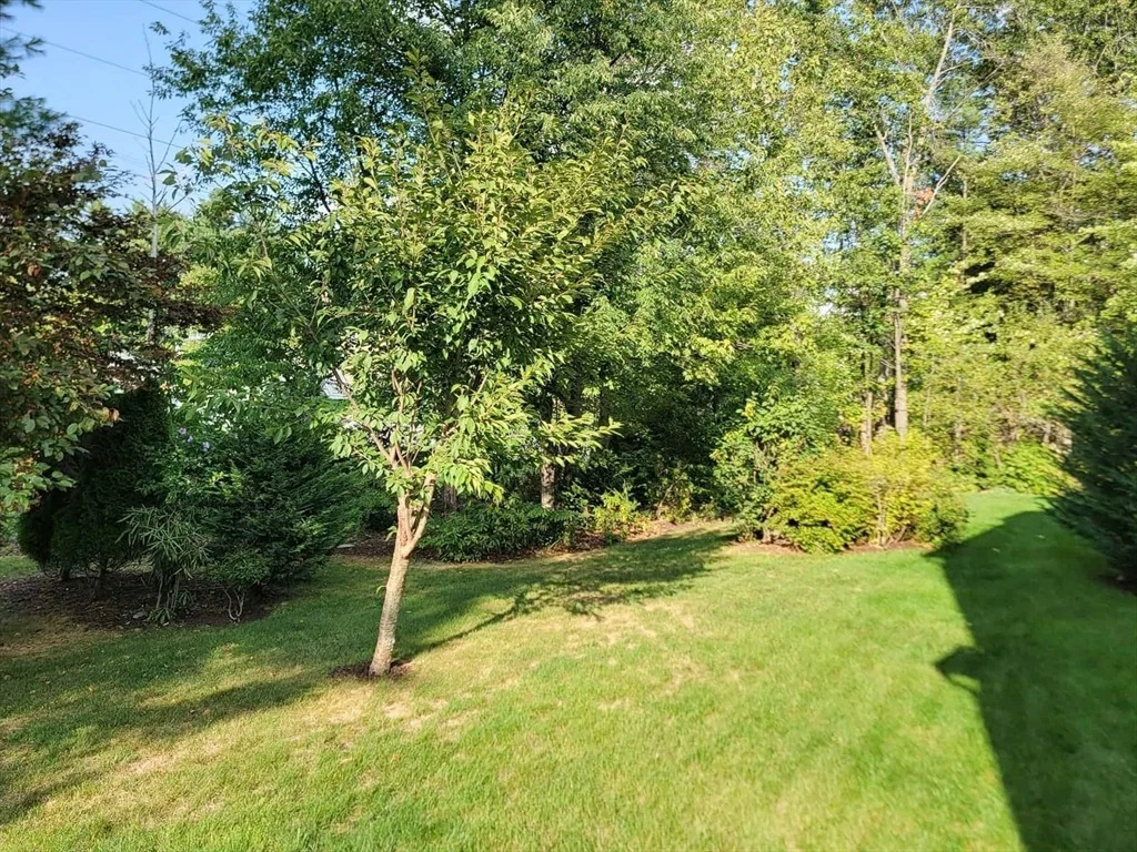 Photo of 30 Clearview Drive