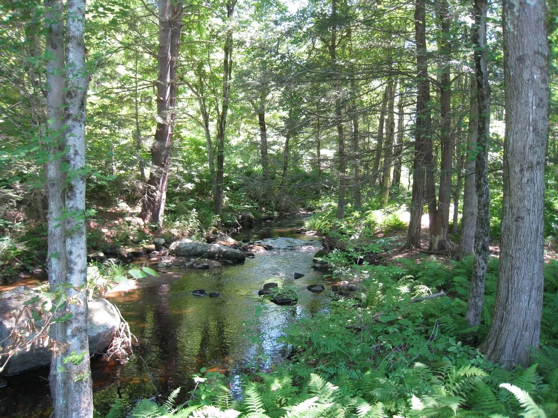 Photo of 12 Point Eastalee Drive