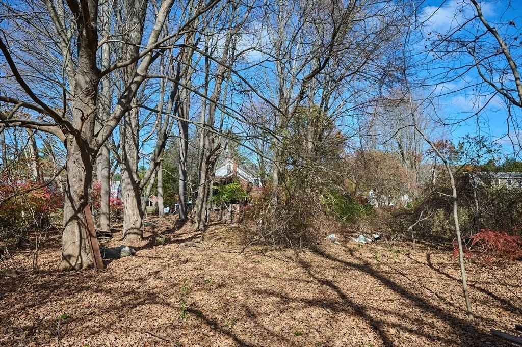 Photo of 38 West St