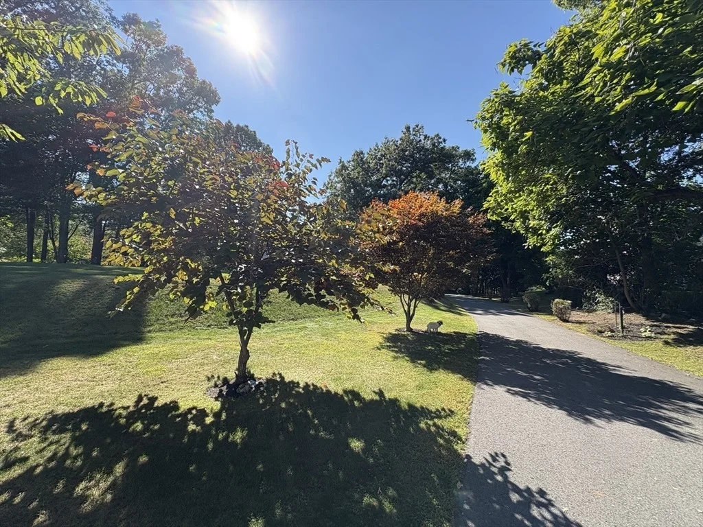 Photo of 8 Jamie Road