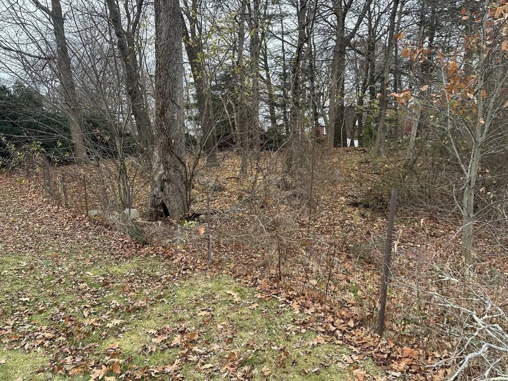 Photo of 50 Fairview Street