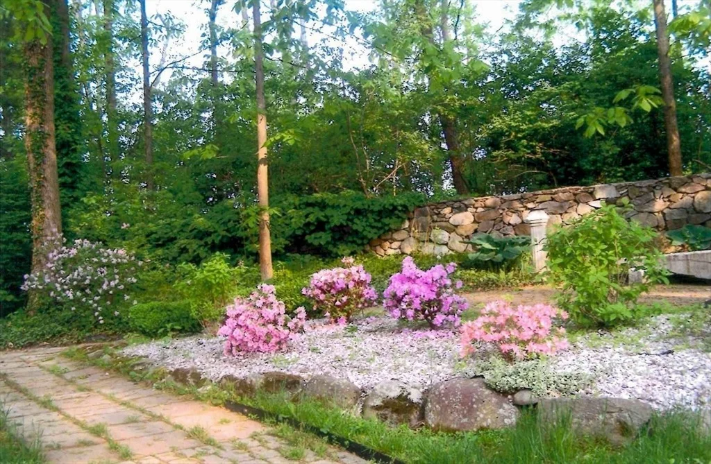 Photo of 16 Argilla Rd
