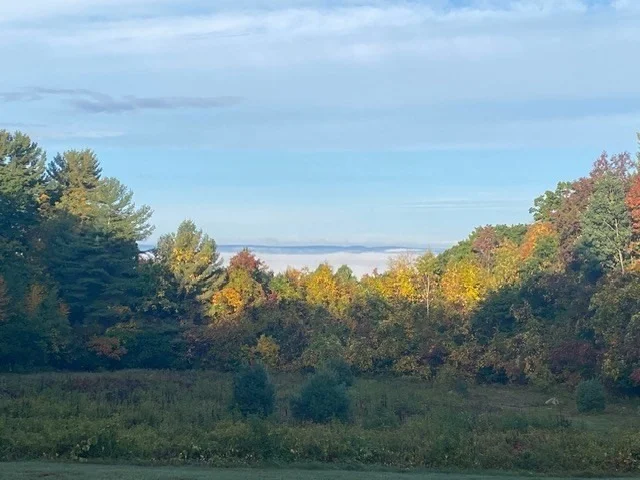 Photo of 61 Arnold Rd