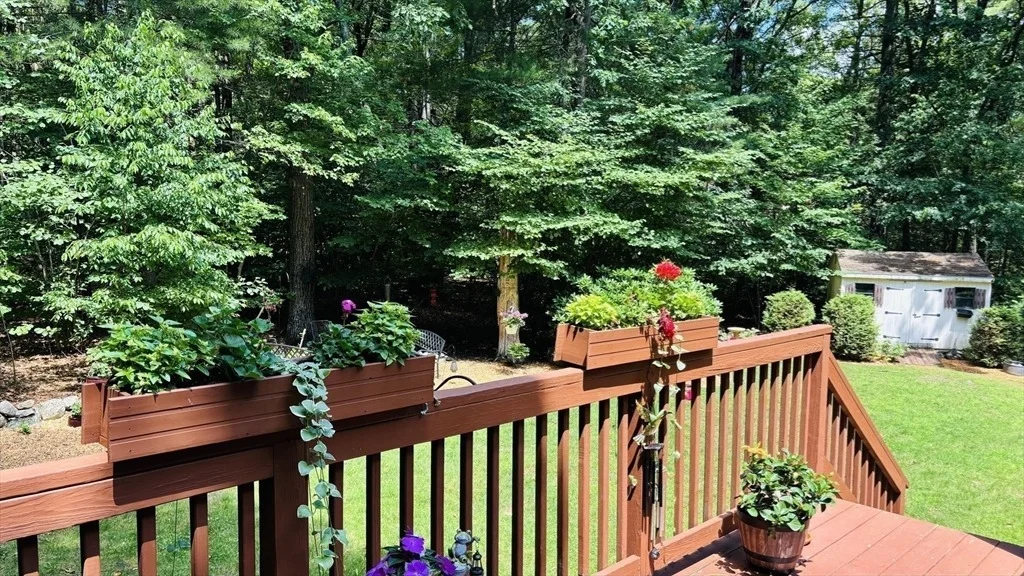 Photo of 152 Forest Street