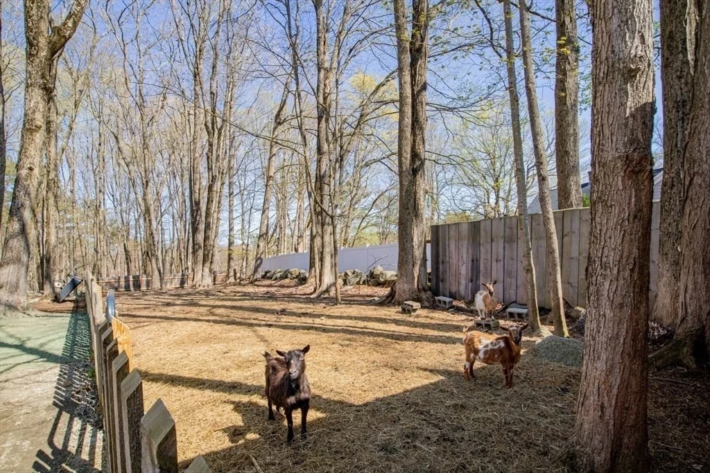 Photo of 3 Old Log Lane
