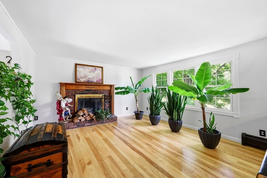 Photo of 23 Phelps St