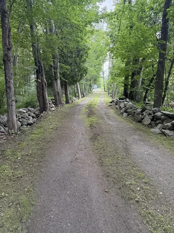 Photo of 588 Wallis