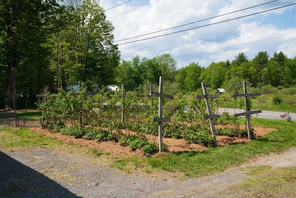 Photo of 425 Dingle Rd