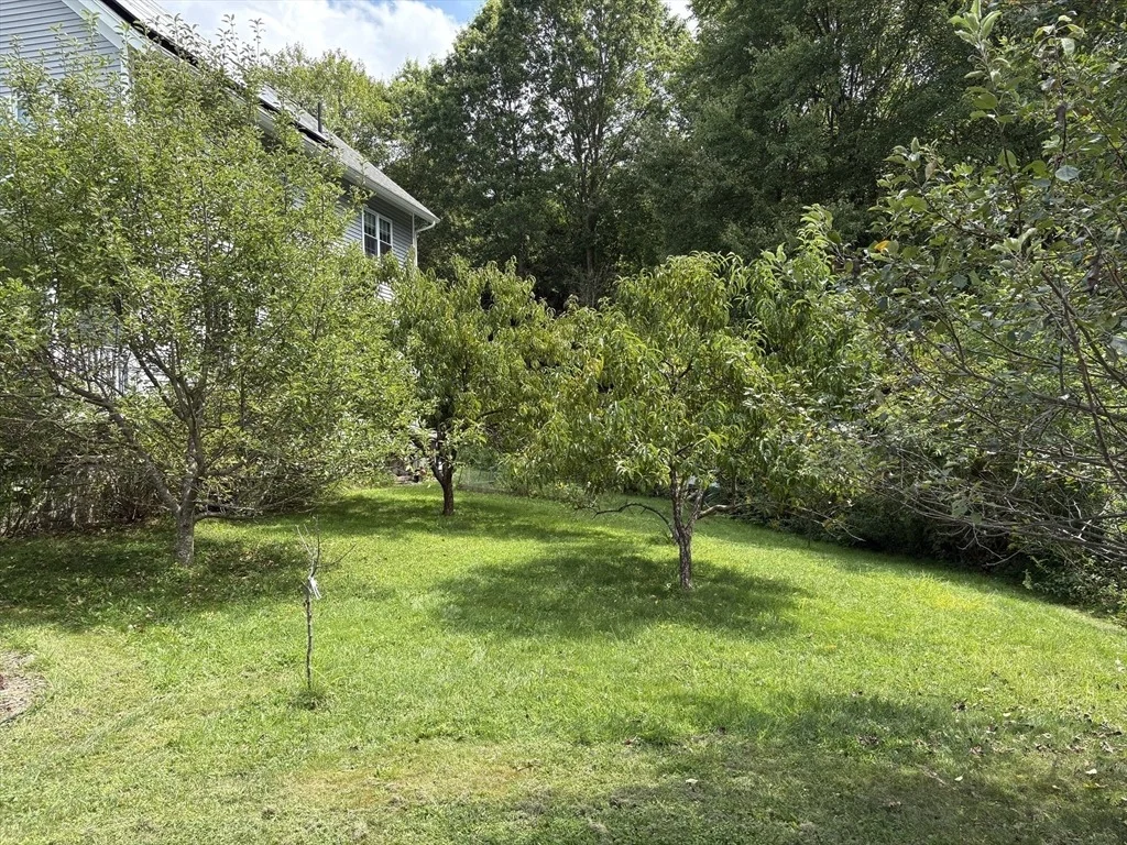 Photo of 15 River Valley Way