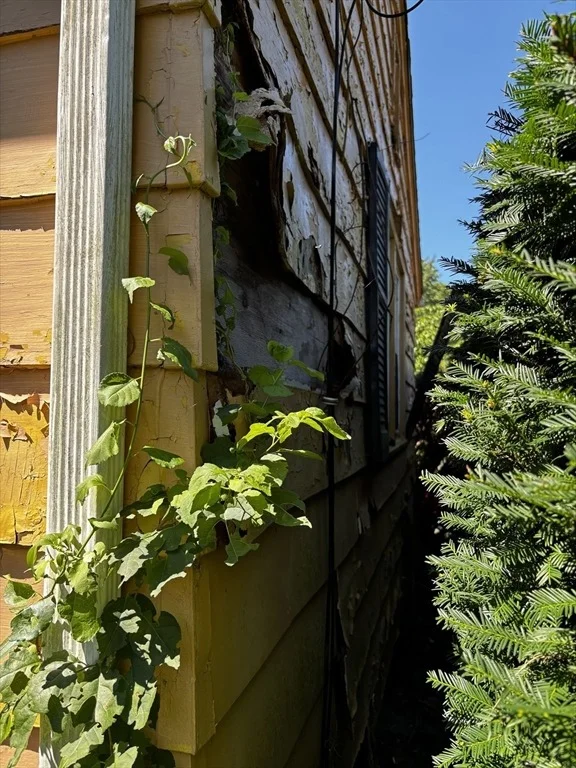 Photo of 48 Beckwith Ave
