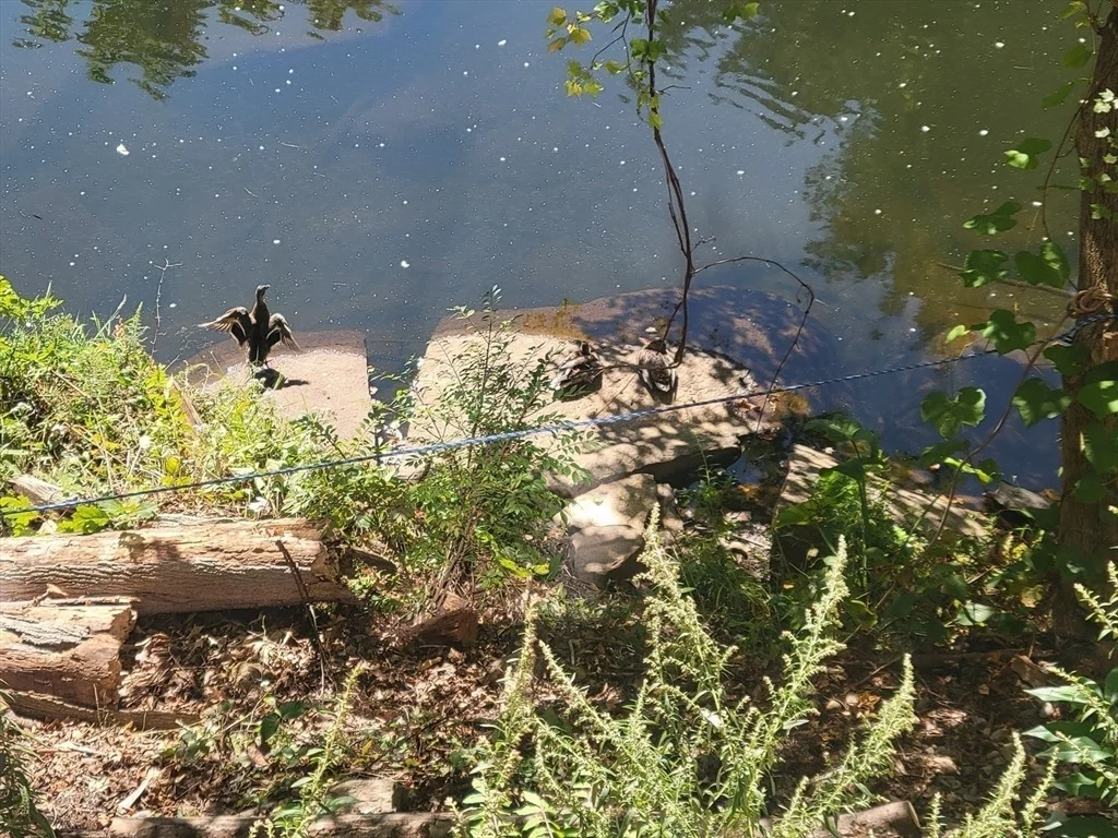Photo of 2653 Providence Rd