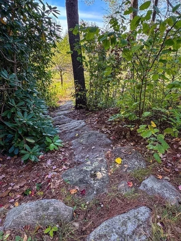 Photo of 261 Old Wendell Road