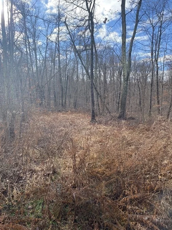 Photo of Lot 169-22 Beebe Rd