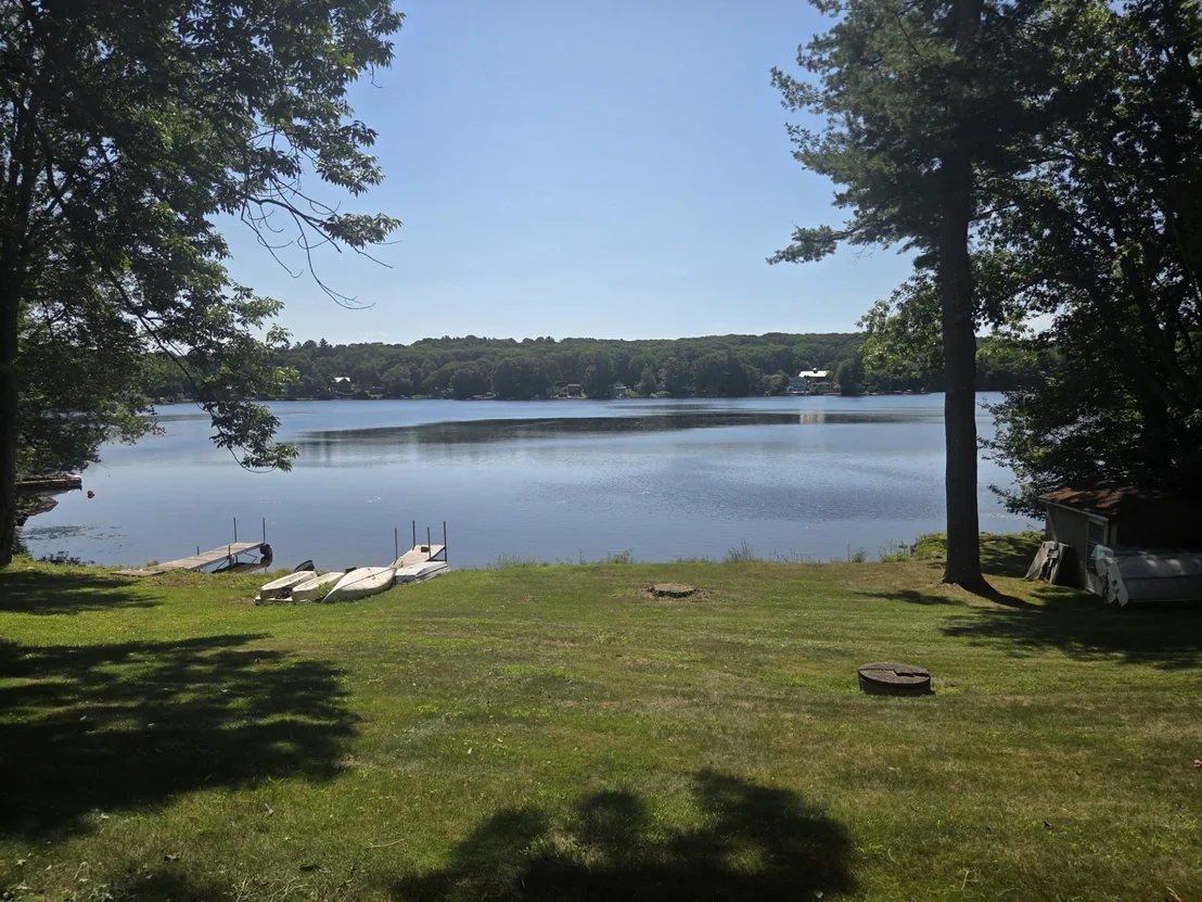 Photo of 4 Lambs Grove
