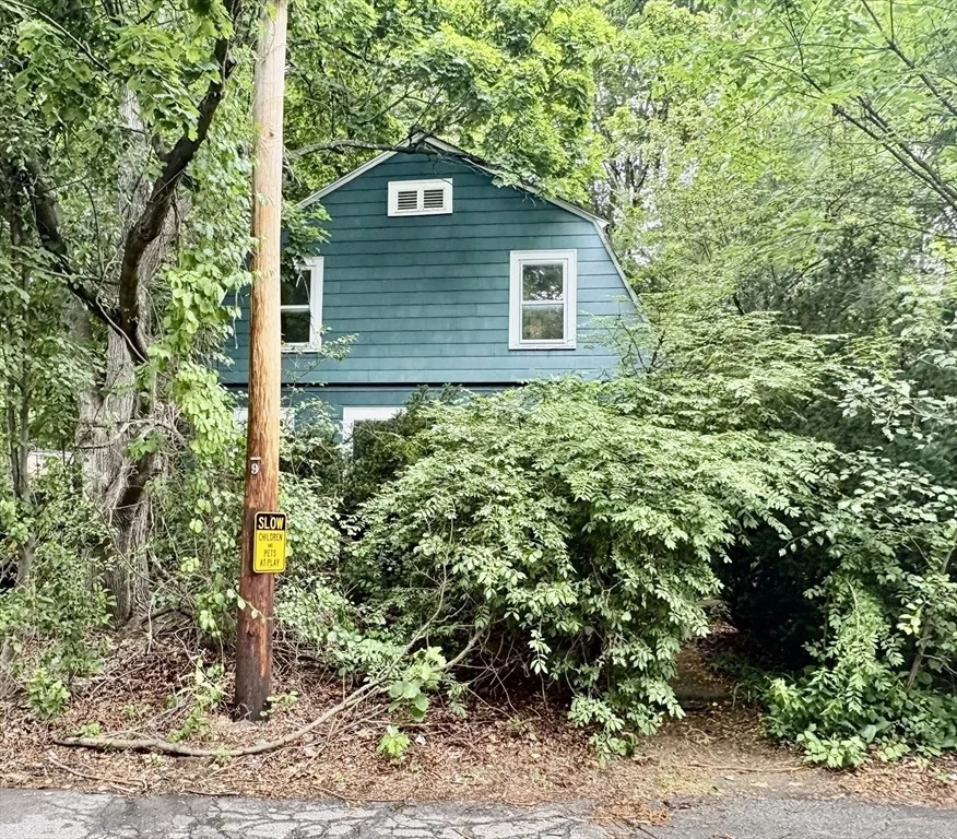 Photo of 51 Damon Street