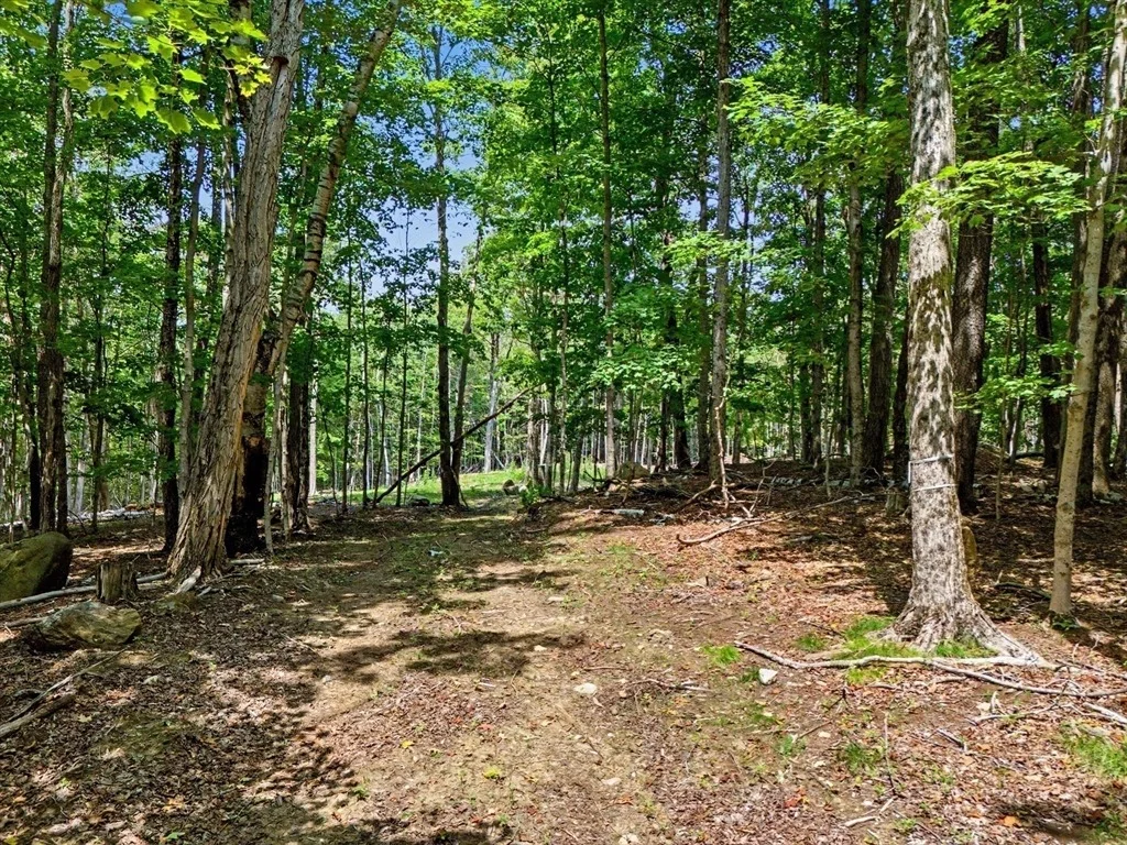 Photo of 951 West Rd