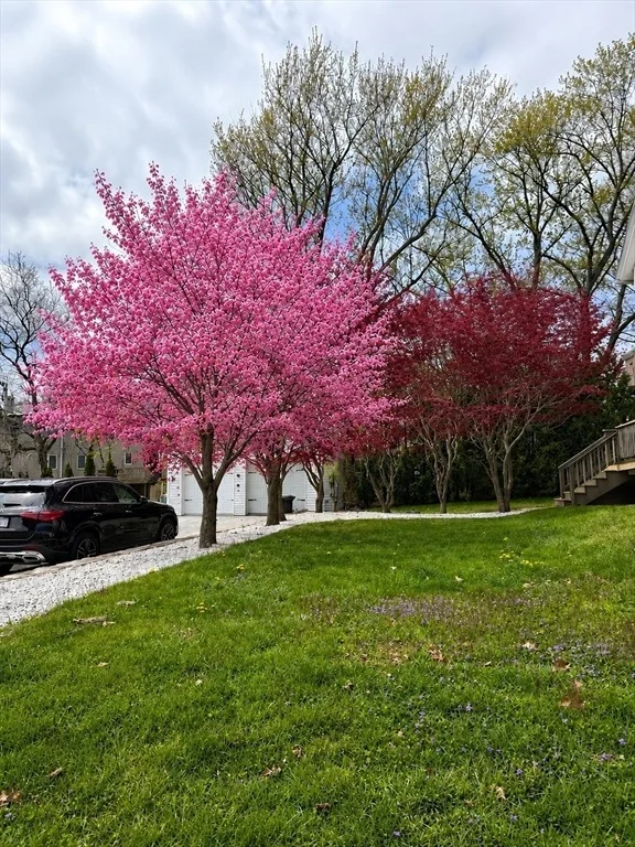 Photo of 6 Anderson Avenue