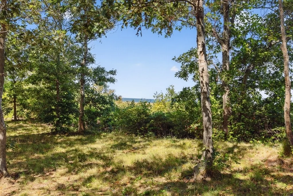 Photo of 166 Highland Moors Dr