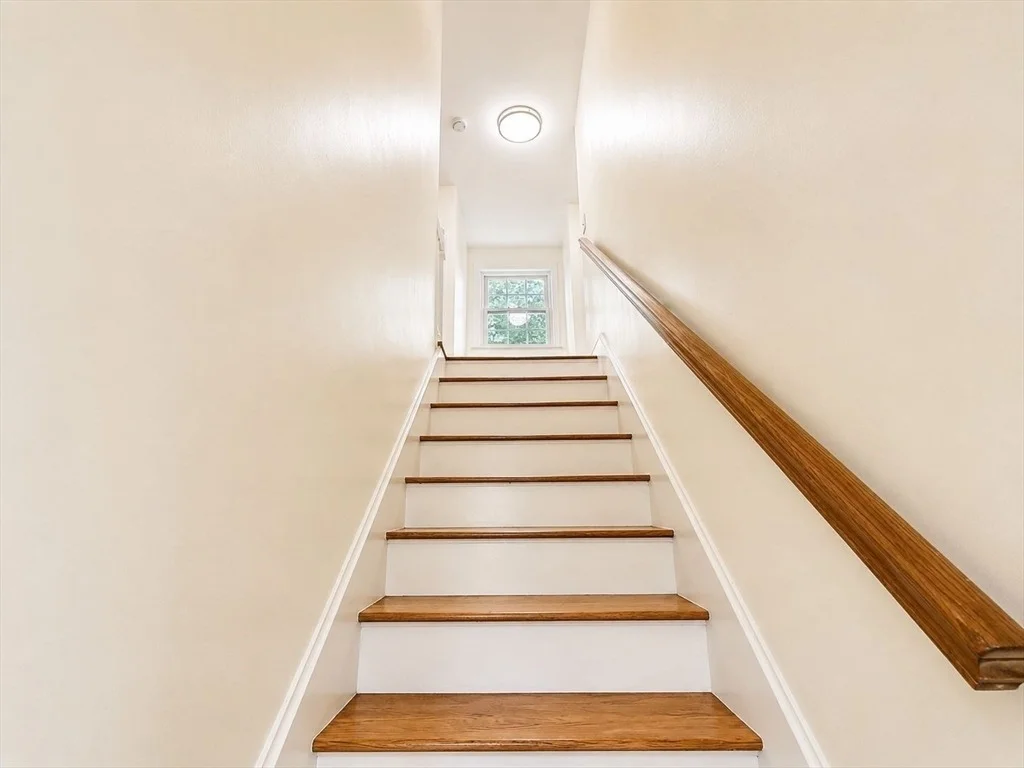 Photo of 30 Springdale Rd