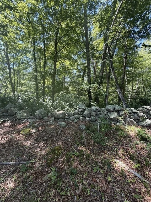 Photo of Lot 3 Thomas Cory Ln