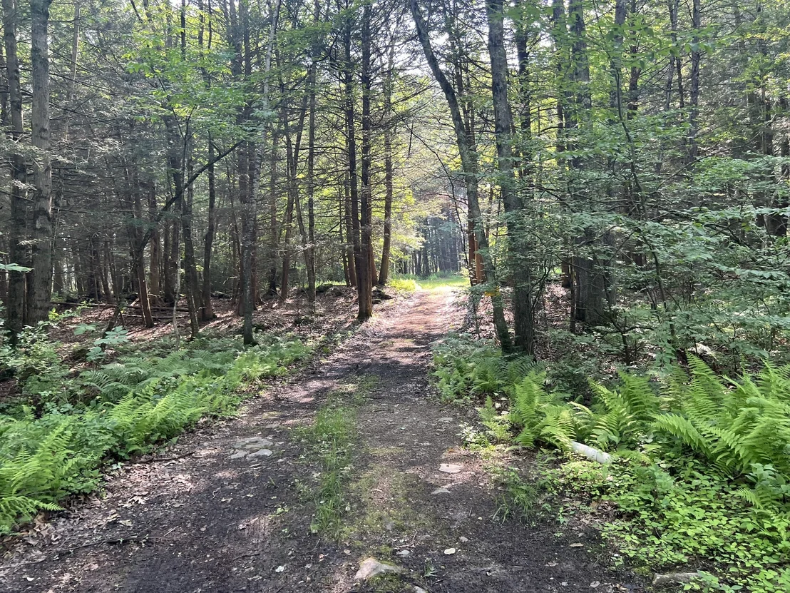 Photo of 140 Bond Rd