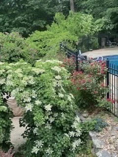 Photo of 33 Overlook Drive