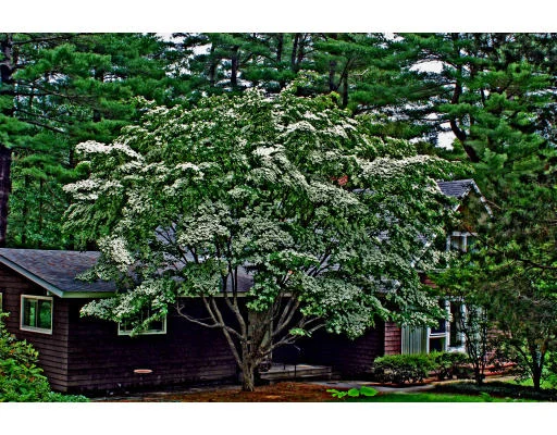 Photo of 29 King Ln