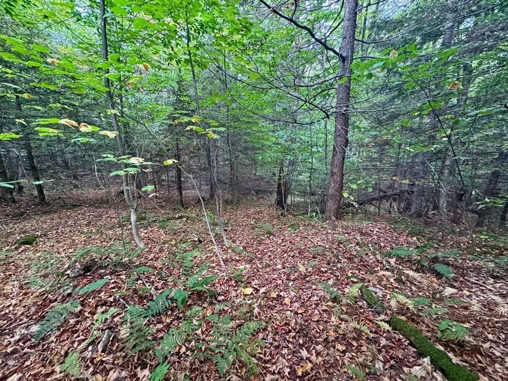Photo of 60 Stone Hill Road