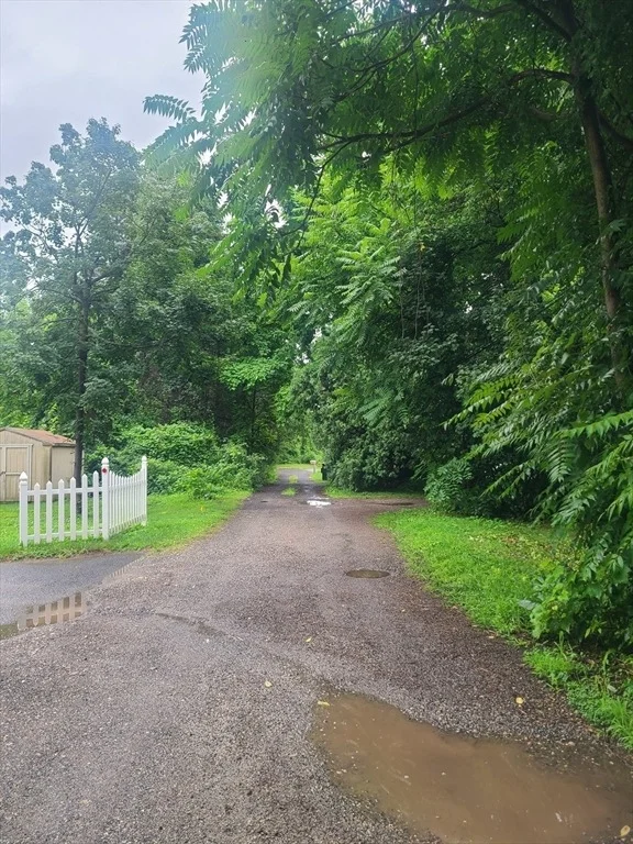Photo of 8 White St